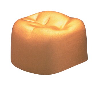 Gold Anodized Molar