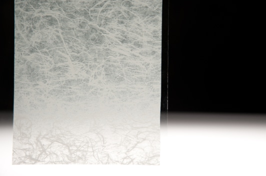 Fasara Glass Finish - Altair-SH2FGAT, NON-PROP