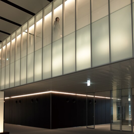 3M(TM) Fasara(TM) Gradation, Illumina-P (SH2FGIM-P)