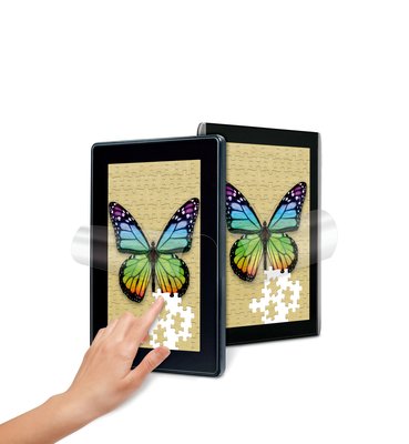Nat View FF Screen Protector