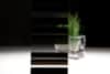 Bild - Stripe Nokto