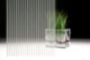 Bild - Stripe Shutie