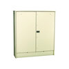 3M™ Pad Mount Cabinet 4220KF/R Rehab