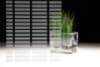 Bild - Border-Horizontal-Horizont Pixela