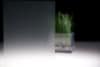 Bild - Frost / Mat Lausanne