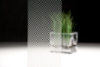 Bild - Gradation Illumina