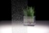 Bild - Gradation Lontano