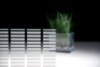 Bild - Border-Horizontal-Horizont Lattice Glace
