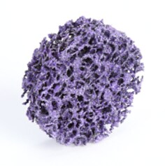 Scotch-Brite™ Roloc™ Clean and Strip XT Disc TR, 2 in x NH S XCS