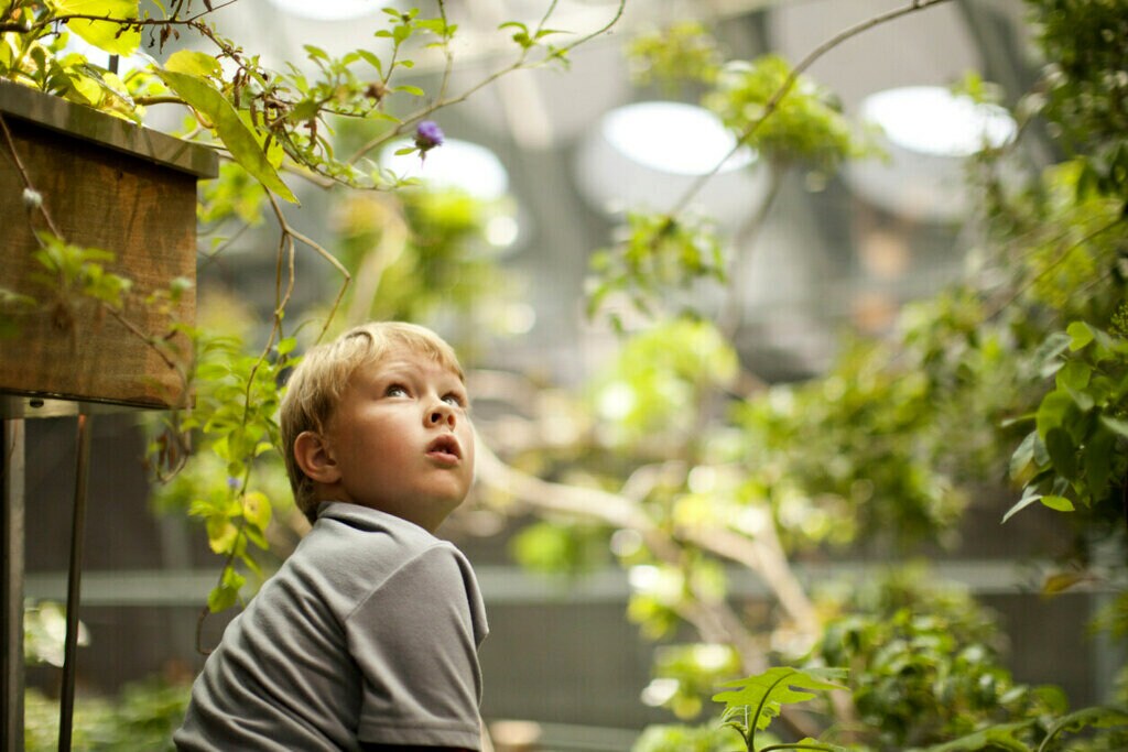 Young boy sitting in a garden looking up at plants.