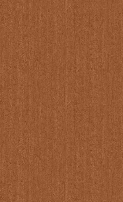 3M™ ダイノック™ フィルム FW-234, ウッド, 1220 mm x 50 m, 1 ロール 
