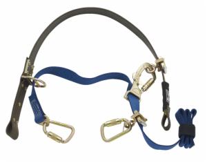 3M™ DBI-SALA Wood Pole Adjustable Web Fall Restricting Device 1204075, Distribution Poleimage