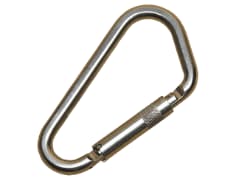 Saflok Stainless Steel Carabiner