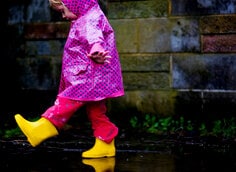 Licensed RF stock asset from Getty ID 85569918