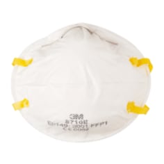 GT500075178 Disposable Respirator