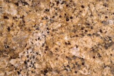 Licensed RF stock asset from Getty ID 139988372