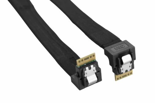 InLine Câble SAS Slim SFF-8654 8i vers 2 x SFF-8643 0,75 m 27648B