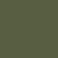 Center_Lv.tif