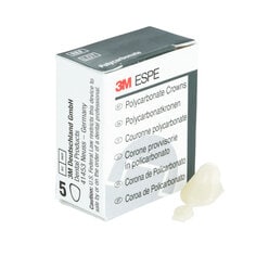 3M ESPE Polycarbonate Replacement Crown, upper left cuspid, #302