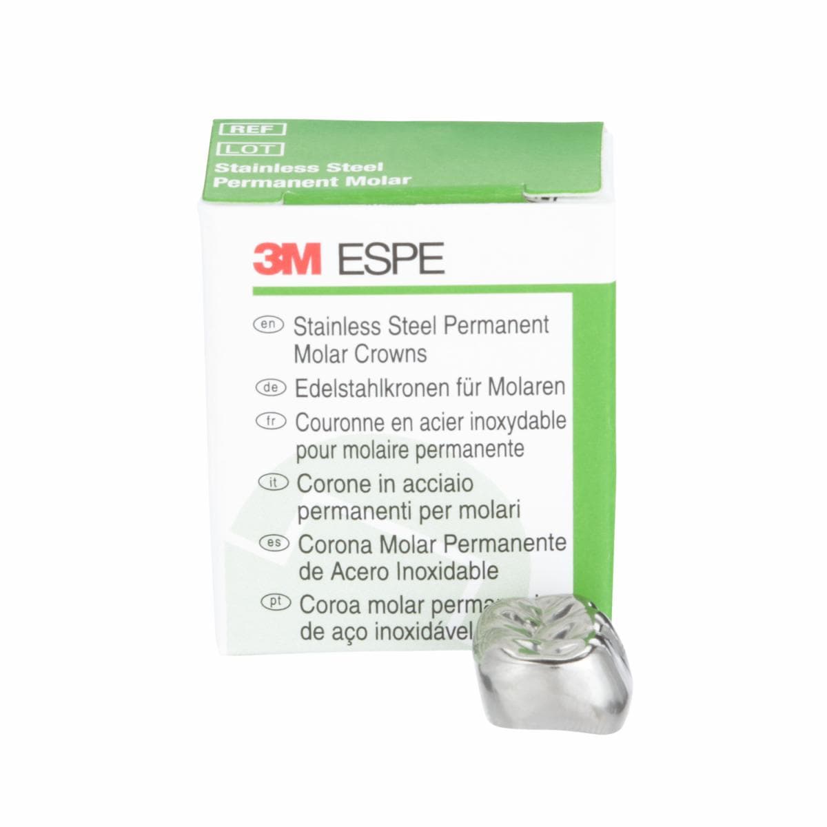 3M™ Stainless Steel First Permanent Molar Replacement Crown, 6LR6