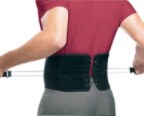 US 46820EN Adj Back Support-White