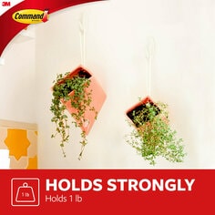 Command(TM) Small Designer Hooks