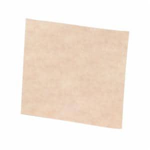 Scotch-Brite Clean and Finish Sheet, 6 in x 9 in T, 50 ea/Case image Scotch-Brite Clean and Finish Sheet, 6 in x 9 in T, 50 ea/Caseimage