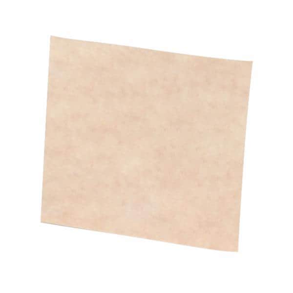 Scotch-Brite Clean and Finish Sheet