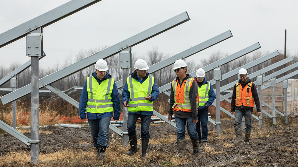 group talking in solar farm