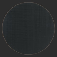 Loop_grey.tif