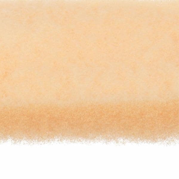 Scotch-Brite High Gloss Disc