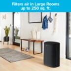 US Filtrete Amazon B+ Large Room AP 3