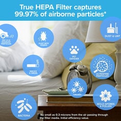 Filtrete Walmart Air Purifier - 