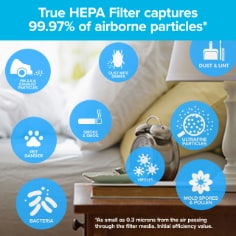 Filtrete Walmart Air Purifier -