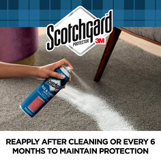 Scotchgard-Rug-Carpet-Protector-Reapplication_R2.jpg