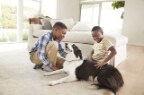 US Filtrete™ 2412_Article-Hero-Modules_2