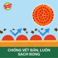 Scotch-Brite Scrub Dots Non-Scratch Sponge-Thumbnail4