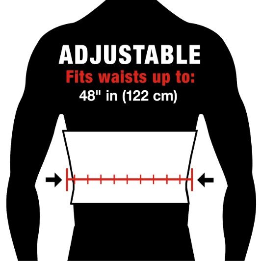 Contoured Back Support
