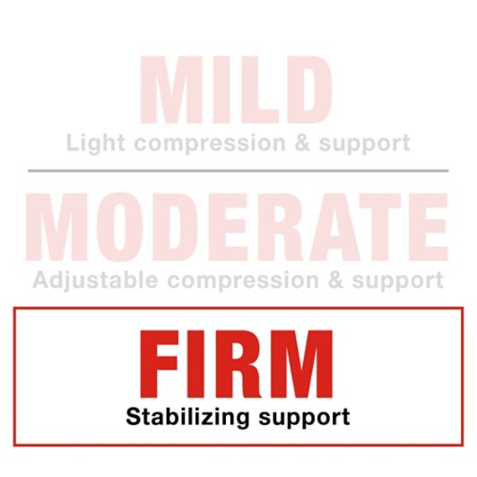 Deluxe Ankle Stabilizer