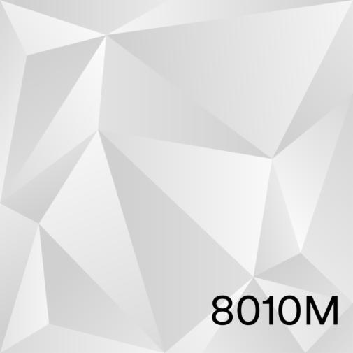 8010M.JPG
