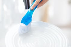 Scotch-Brite(R) Dish Brush