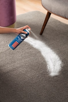 Scotchgard(TM) Carpet & Rug Protector