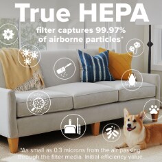 Filtrete™ Allergen, Bacteria & Virus True HEPA Room Air Purifier Filter
