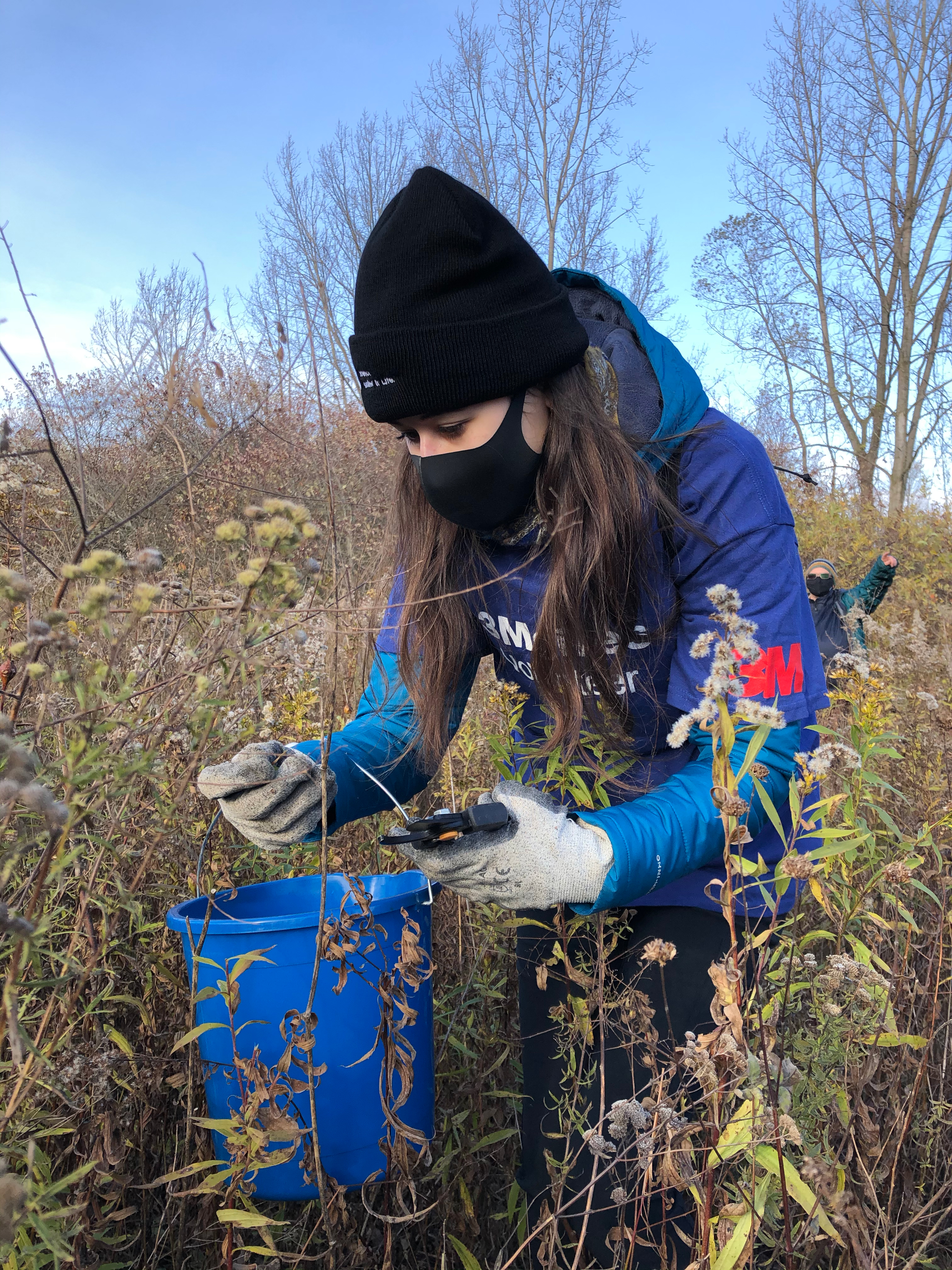 Young woman collecting seeds in a bucket in an open field.