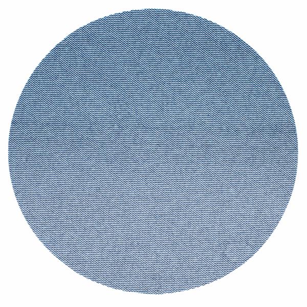 ™ Blue Net Disc 36417