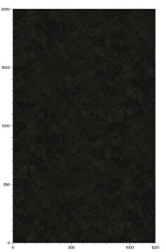 RT-1111_SC