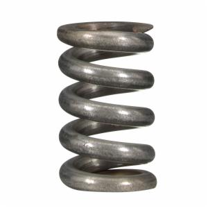 3M™ Spring 55097image