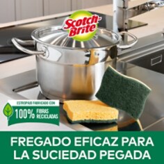 Dojo_Spain-Classic cellulose x 12_ES2.jpg