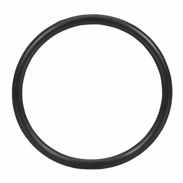 ™ O-Ring A0045