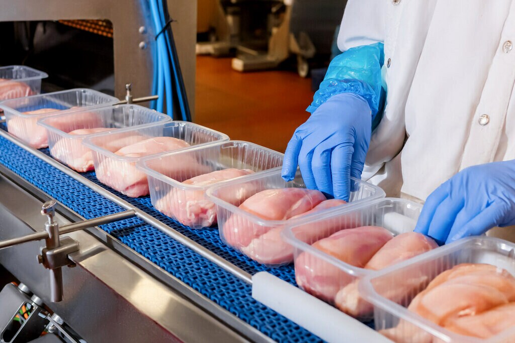 Poitrines de poulet crues dans des contenants en plastique